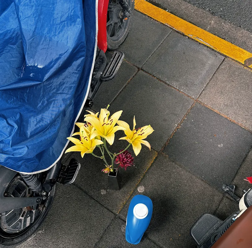 Yellow flowers standing on a sidewalk beside a covered motorbike.